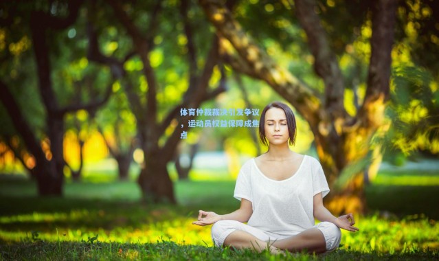 b体育入口|体育仲裁裁决引发争议，运动员权益保障成焦点