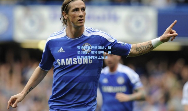 b体育下载：雪橇世界杯德国站，新星闪耀，老将坚守，速度与激情的冰上角逐