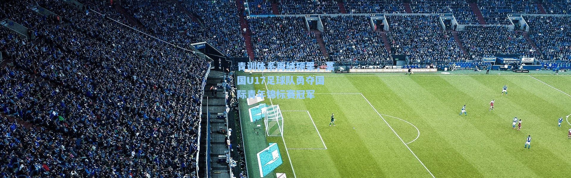 b体育官网_青训体系再结硕果，某国U17足球队勇夺国际青年锦标赛冠军