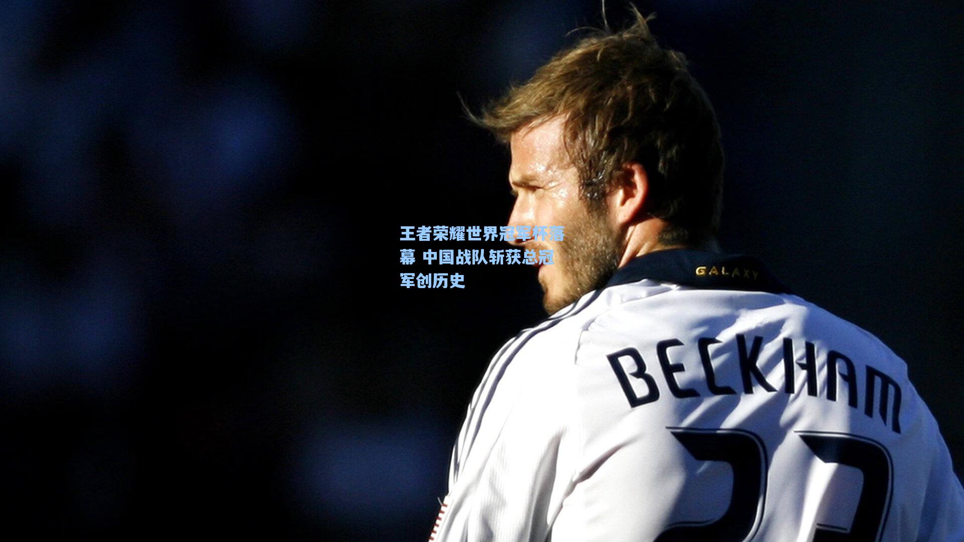 王者荣耀世界冠军杯落幕 中国战队斩获总冠军创历史