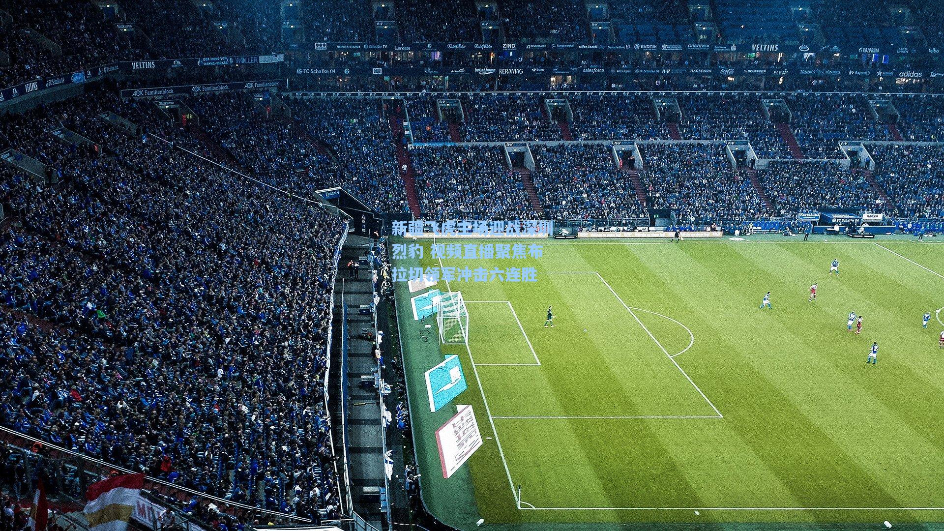 新疆飞虎主场迎战深圳烈豹 视频直播聚焦布拉切领军冲击六连胜